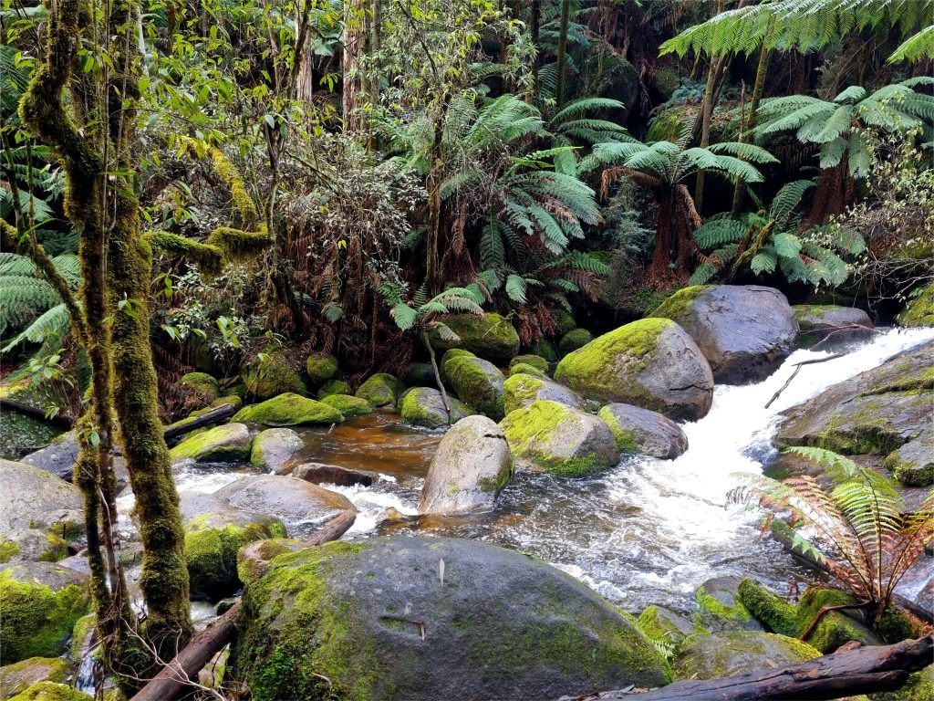 Google Business Profile Optimisation Drouin