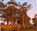 GBP Optimisation Drouin